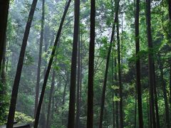 -凤栖山