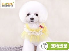 -美联众合动物医院·24h京西诊疗中心
