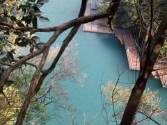 -祁门牯牛降观音堂风景区