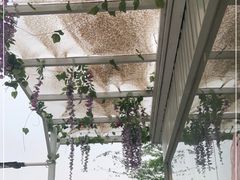 -潭柘厚院&山顶烤肉(潭柘寺店)