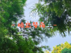 -紫颐香薰山谷景区