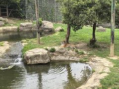 -常州淹城野生动物世界