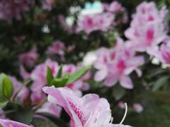 -广西大学(大学东路校区)
