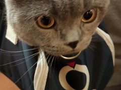 -爱洗澡的猫(天河路店)