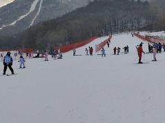 -亚布力新体委滑雪场
