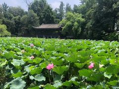 -房湖公园