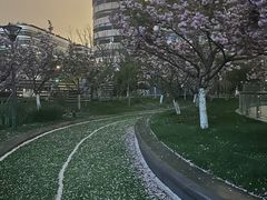 -国家会展中心（上海）虹馆EH