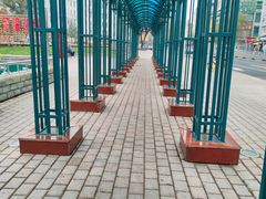 -圣·阿列克谢耶夫教堂