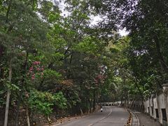 -白云湖畔酒店-湖畔餐厅