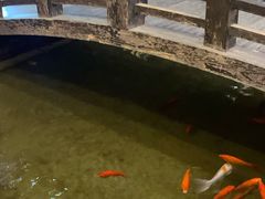 -弘医堂中医院
