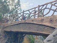 -梭布垭石林景区