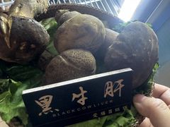 -爱膳菌锅锅(阳南店)