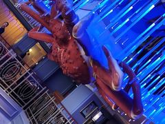 -蟹之国·精品蟹料理(极地店)