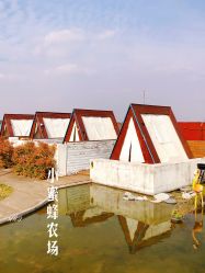 -小蜜蜂农场(凯德七宝购物广场店)