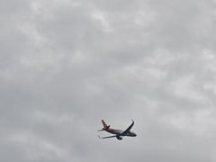 -空港花田景区