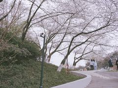 -杭州少年儿童公园