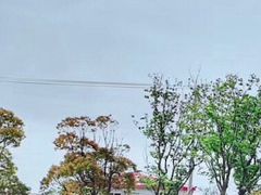 -上海崇明金茂凯悦酒店