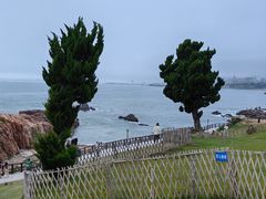 -小麦岛公园