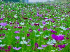 -北沙滩(地铁站)