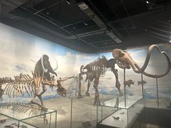 -辽宁古生物博物馆
