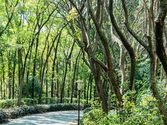 -深圳国际园林花卉博览园