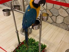 -天沐温泉(抚顺店)