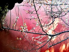 -钱王祠