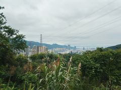 -梧桐山风景名胜区