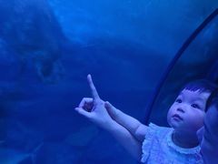 -左海海底世界