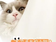 -一间摄影工作室(天安云谷店)