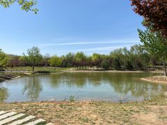 -永定河休闲森林公园