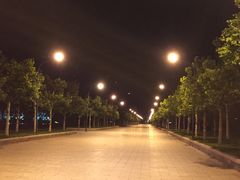 -南开大学滨海学院