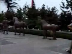 -西安汉城湖景区