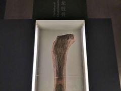 -世界恐龙谷景区