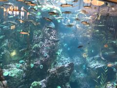 -西雅图水族馆