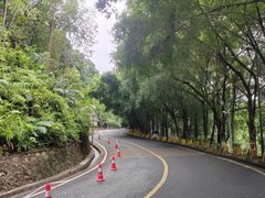 -大雁山风景区