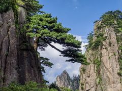 -黄山风景区