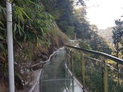 玻璃栈道-九龙江国家森林公园