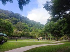 -野象谷景区