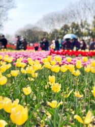 -玄武湖景区-情侣园游乐场