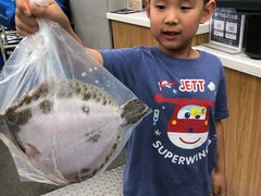 -盒马鲜生(大成店)