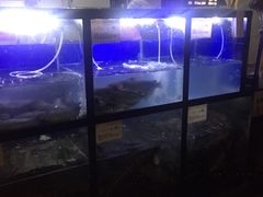 -严厨老坛酸菜鱼(吴江万宝店)