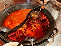 -朱光玉火锅馆(龙阳广场店)