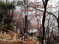 -终南山古楼观历史文化景区