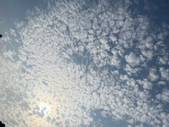 -阳澄湖半岛旅游度假区