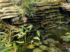 -国家植物园南园