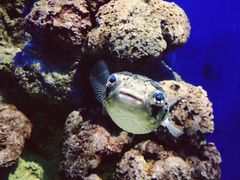 -福州罗源湾海洋世界旅游区