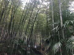-南山风景名胜区