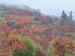 -四明山国家森林公园