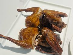 -琬苑鸽庄·川粤融合菜(解放碑总店)